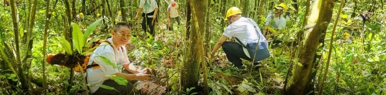Open Access BPO Doubles Down on a Greener Future with Tree-Planting Initiatives